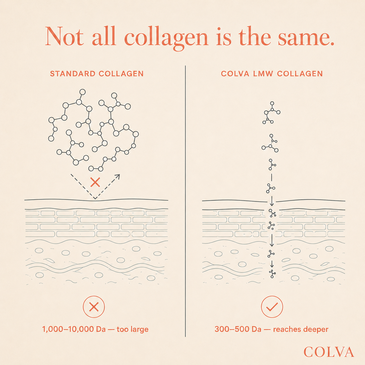 Collagen Chest Mask